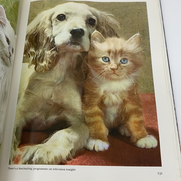 The World of Dogs Book By Wendy Boorer 1970s - Picture 9 of 17